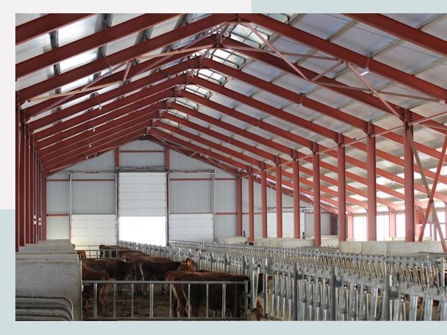 Строительство коровников в Лангепасе