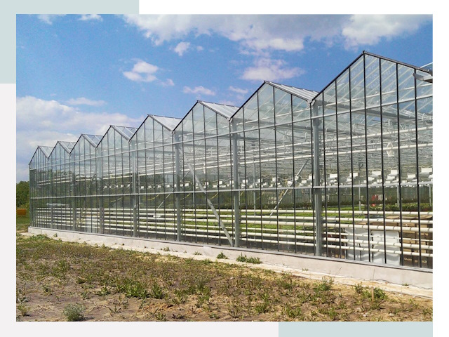 Строительство теплиц в Лангепас от 606 руб. за м²